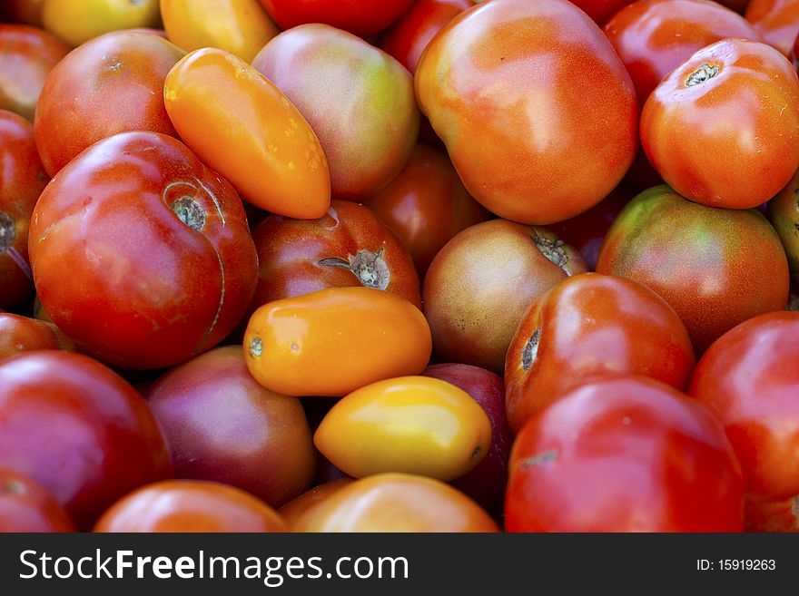 A hip of different types of tomatoes on the farmer's market