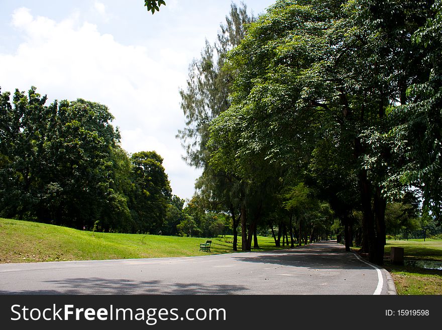 Sidewalk In Park