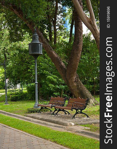 Two bench under tree