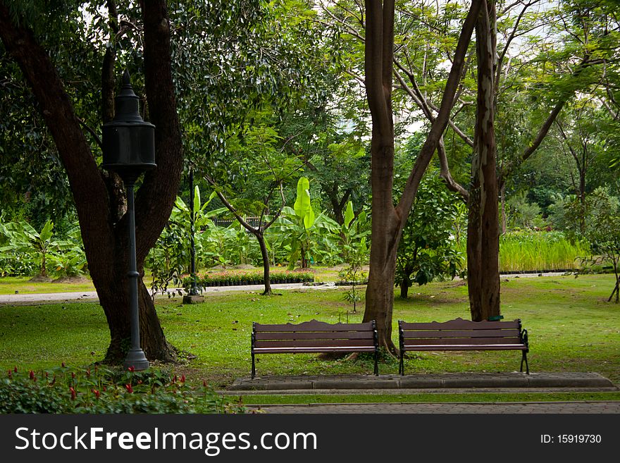 Two Bench Under Tree