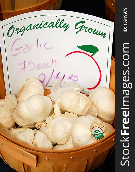 A basket of organic garlic. A basket of organic garlic