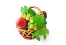 Basket With Fruits Royalty Free Stock Photography Basket With Fruits Royalty Free Stock Photography