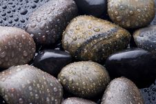 Stones Covered With Water Drops. Stock Photo Stones Covered With Water Drops. Stock Photo