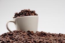 Cup Of Coffee Beans Stock Photo Cup Of Coffee Beans Stock Photo