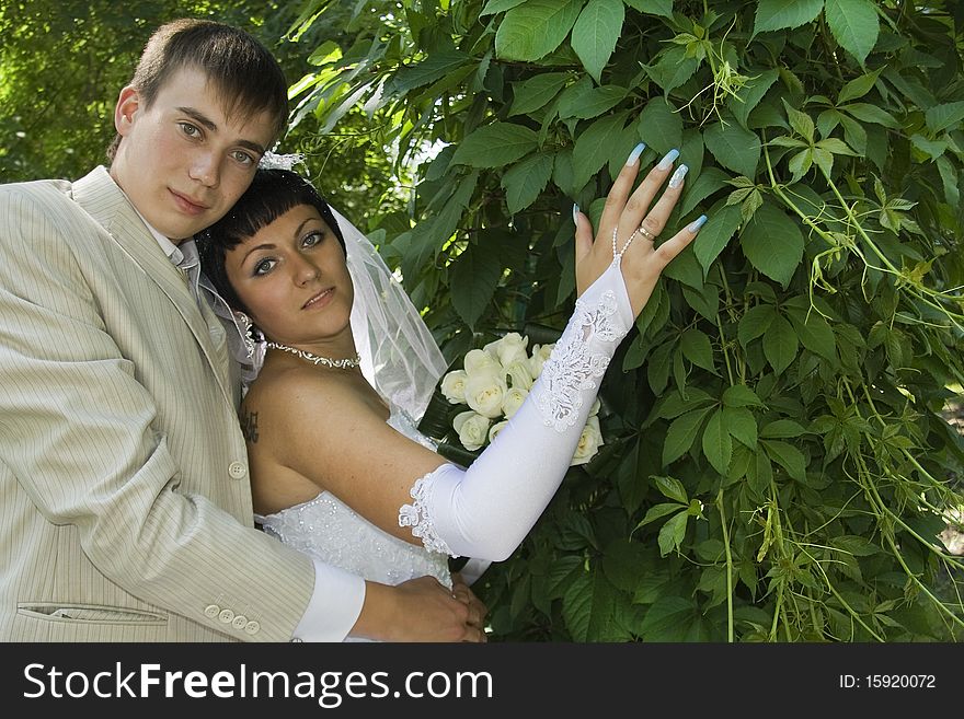 The groom and the bride on walk in park