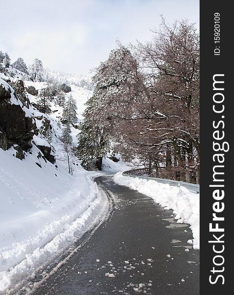 Winter landscape from Troodos mountains in Cyprus