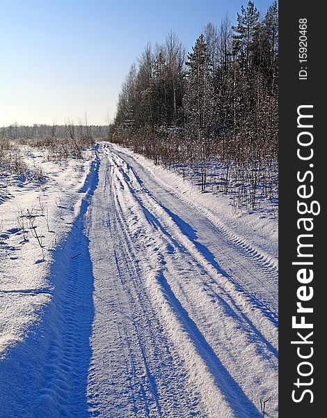 Rural road in winter wood