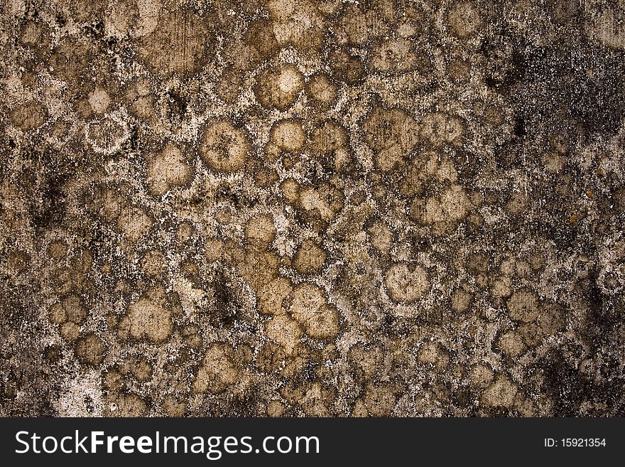 Globular mold wall background with text space