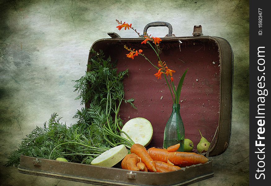 Suitcase And Carrot