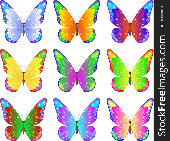 Collection color butterflyes. 
Vector illustration