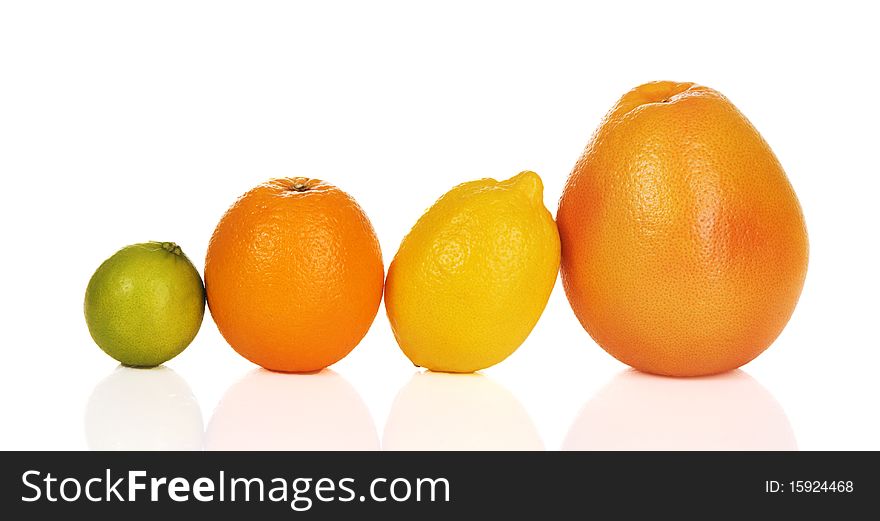 Fresh Citrus