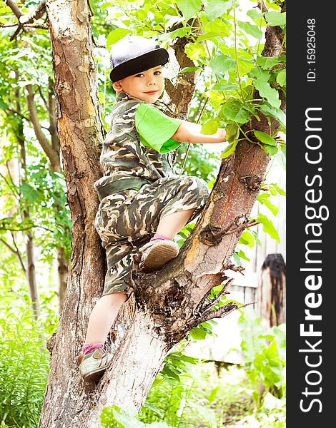 A beautiful little boy climbed a tree