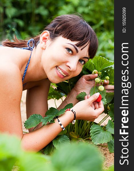 A Young Girl Picks Strawberries