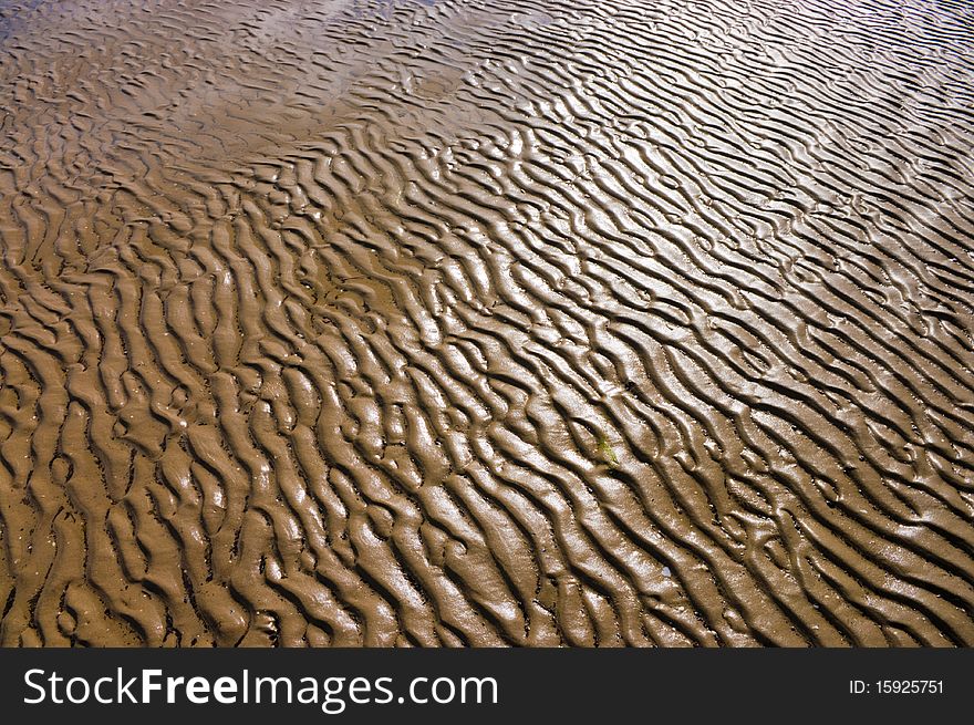 Colorful sand ripples on a beach with shallow water during ebb. Colorful sand ripples on a beach with shallow water during ebb