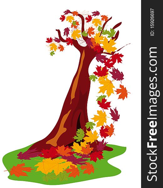 Tree with fallen leaves - vector illustration. Tree with fallen leaves - vector illustration