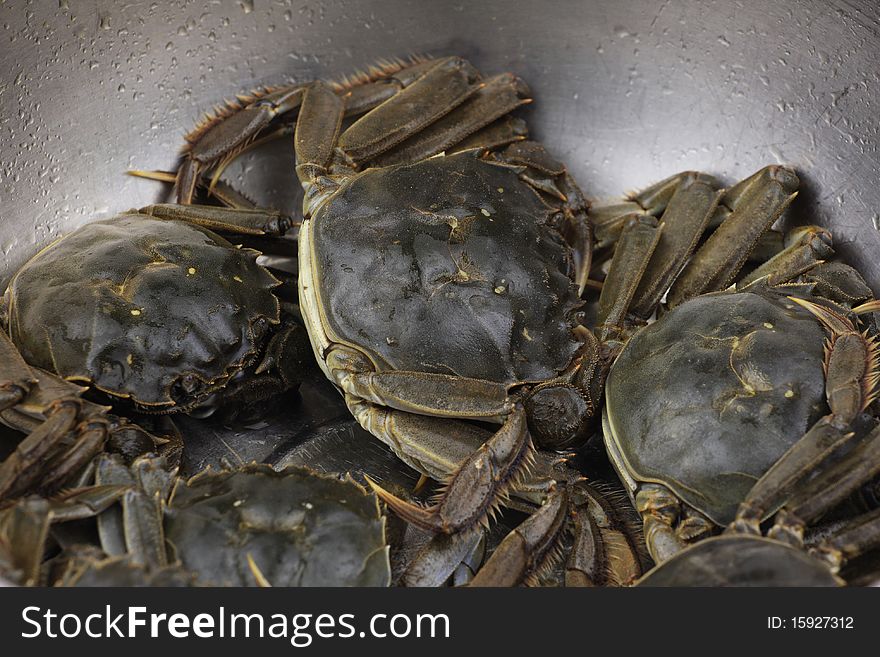 Crab was placed in pots