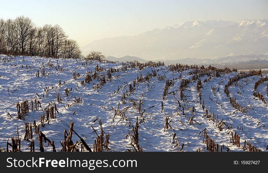 View of landscape with the snow -