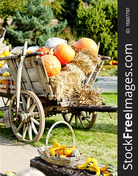 Still life of pumpkins on cart