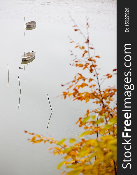 Autumnal pond in Czech Republic