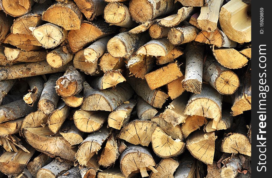 Wood pile after trees have been felled