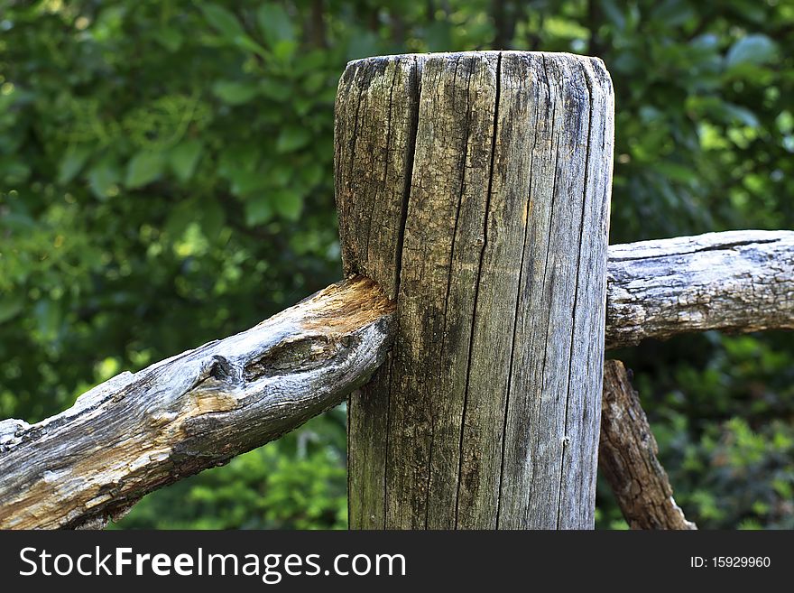 Old Fence