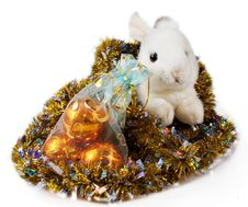 Rabbit Is Animal 2011 Royalty Free Stock Images Rabbit Is Animal 2011 Royalty Free Stock Images
