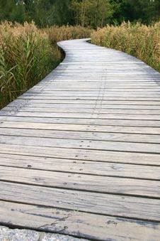 Free Straight Path In Wetland Park Royalty Free Stock Photos - 15938038