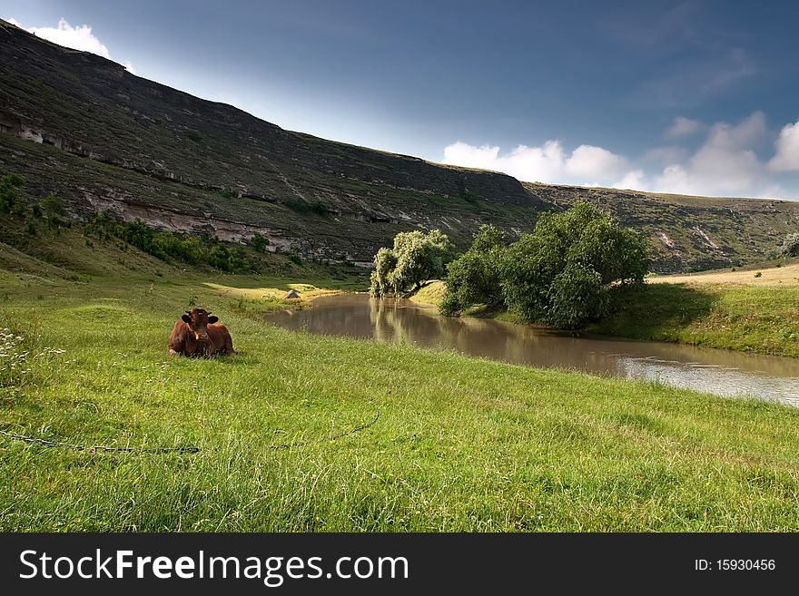 Landscape With River