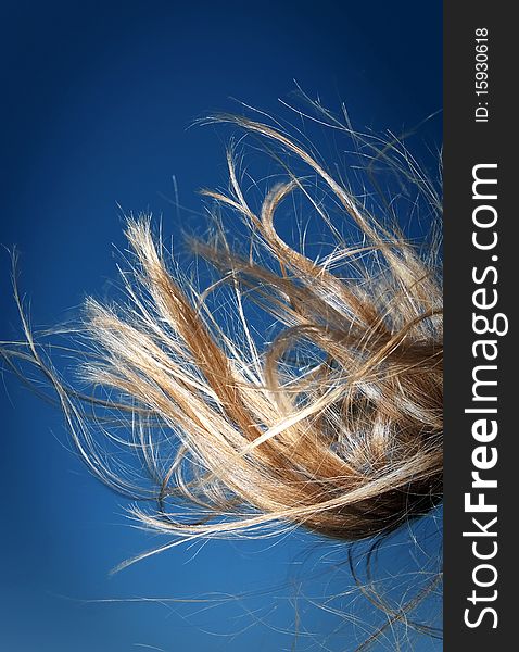 Abstract photography of hair-ends with blue background. Abstract photography of hair-ends with blue background