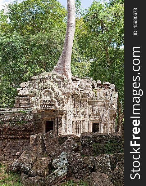 Ta Prohm in Angkor, historical ruin of the Khmer held by tree roots