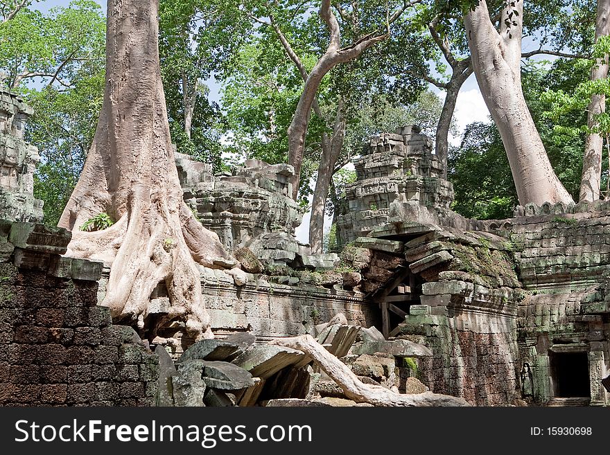 Ta Prohm In Angkor