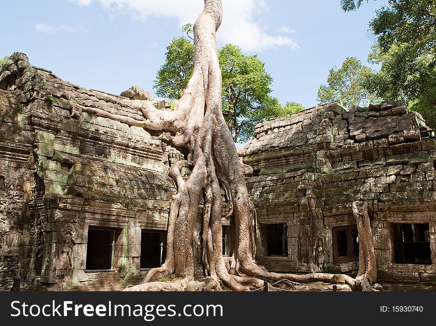 Ta Prohm In Angkor