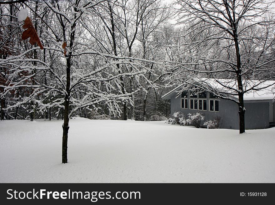 House in snowy forest