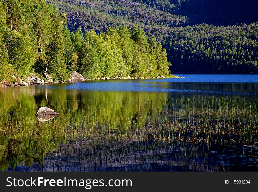 Blue lake, green trees.