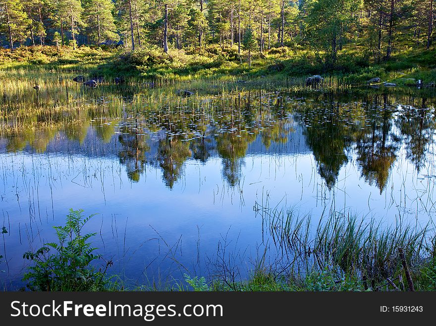 Reflections in a lake with water lillies and foliage. Reflections in a lake with water lillies and foliage