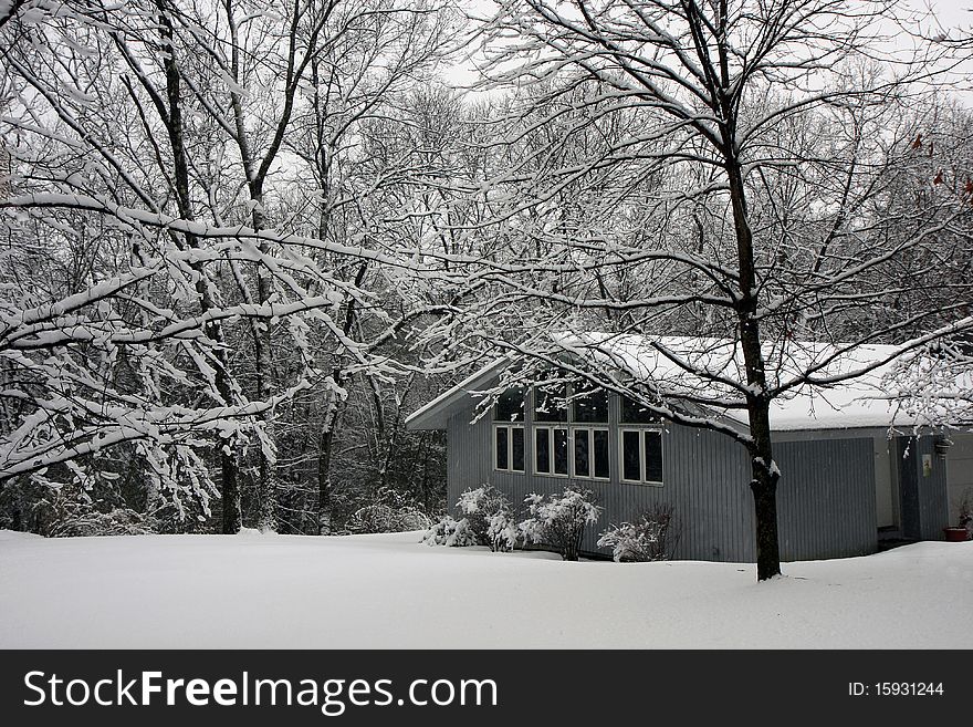 House in snowy forest