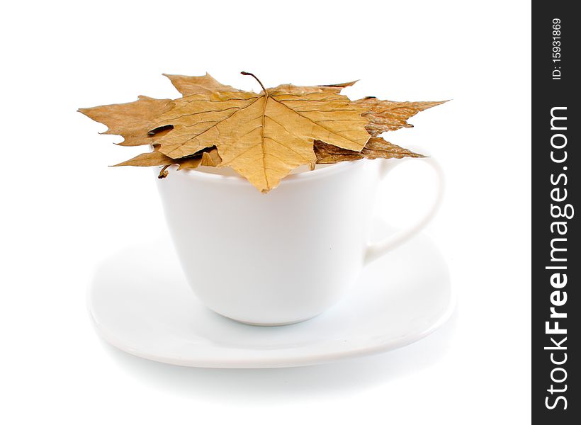 Autumn Coffee Cup