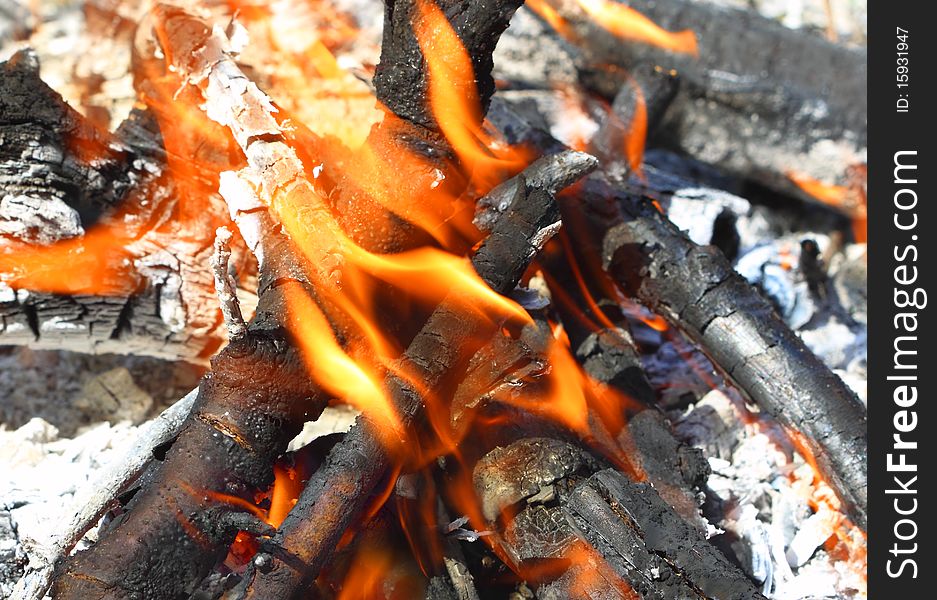 The burning of useless garden waste in controlled fires.