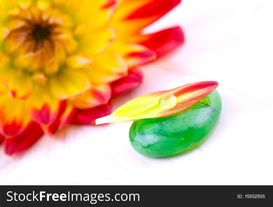 Petal with drop of water and flower in background