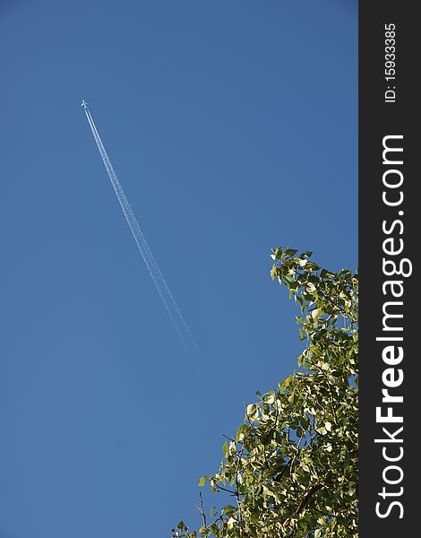 Leaves and plane's track on blue sky