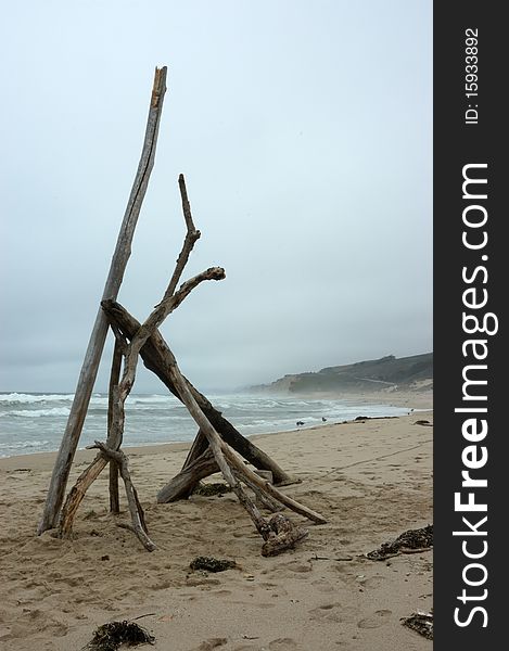 Image of driftwood on beach. Image of driftwood on beach
