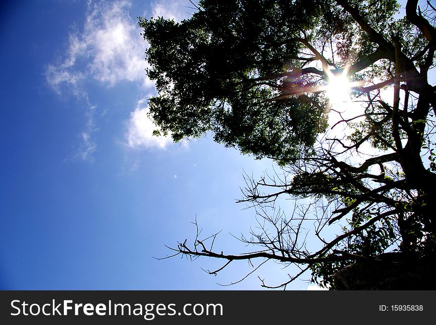 Blue Sky With Sunlight