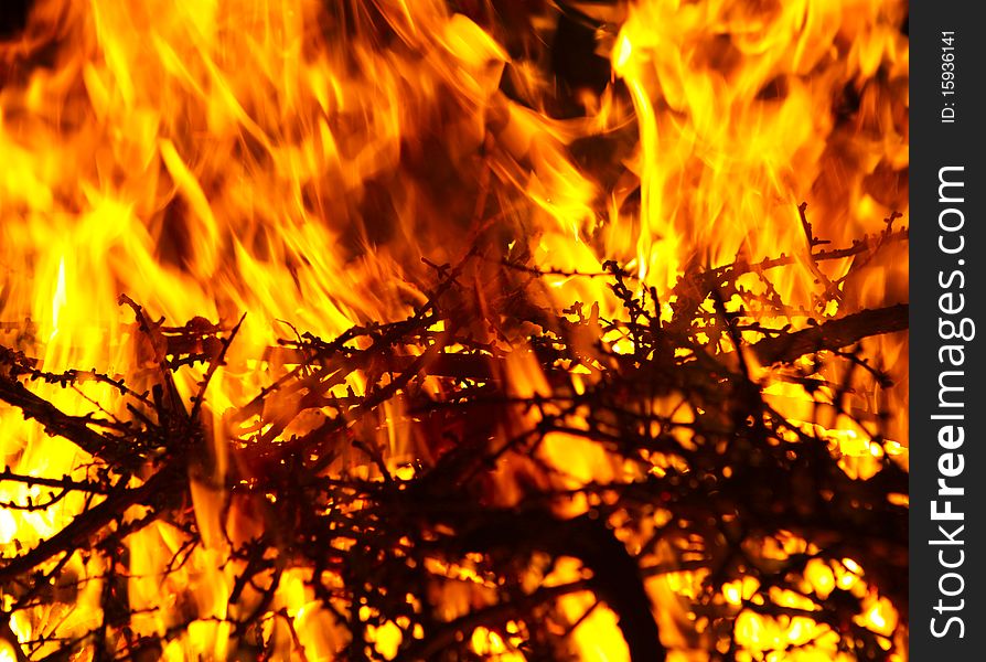 Field burning of firewood on the evening campfire. Field burning of firewood on the evening campfire.