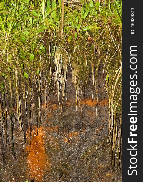 Cross section through iron-saturated soil in a minig area. Cross section through iron-saturated soil in a minig area