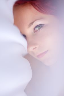 Gentile Royalty Free Stock Images