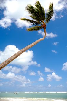 Exotic Beach Stock Photos Exotic Beach Stock Photos