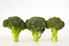 Fresh Sprouting Broccoli Royalty Free Stock Image Fresh Sprouting Broccoli Royalty Free Stock Image