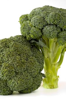 Fresh Sprouting Broccoli Royalty Free Stock Image Fresh Sprouting Broccoli Royalty Free Stock Image