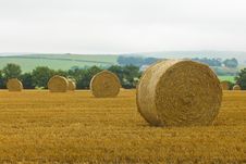 Straw Bales Royalty Free Stock Image Straw Bales Royalty Free Stock Image