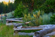 The Old Wooden Fence Stock Photos The Old Wooden Fence Stock Photos